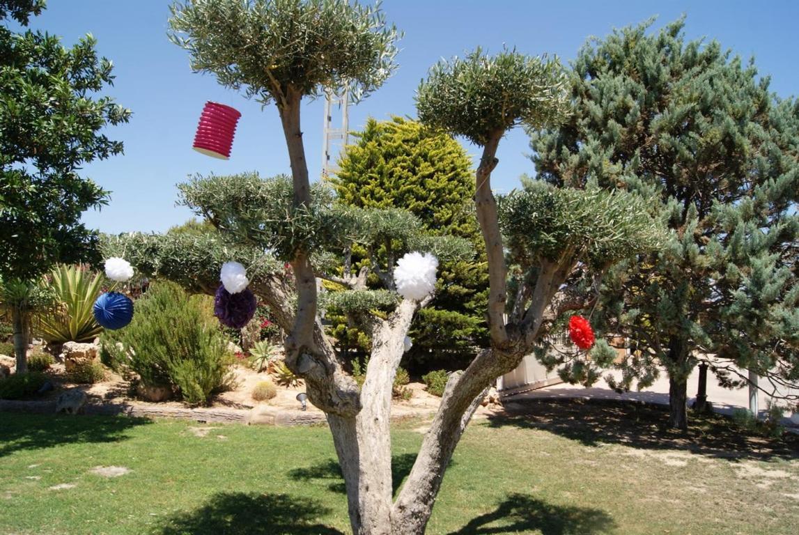 Los Jardines De Lola Daimés Buitenkant foto
