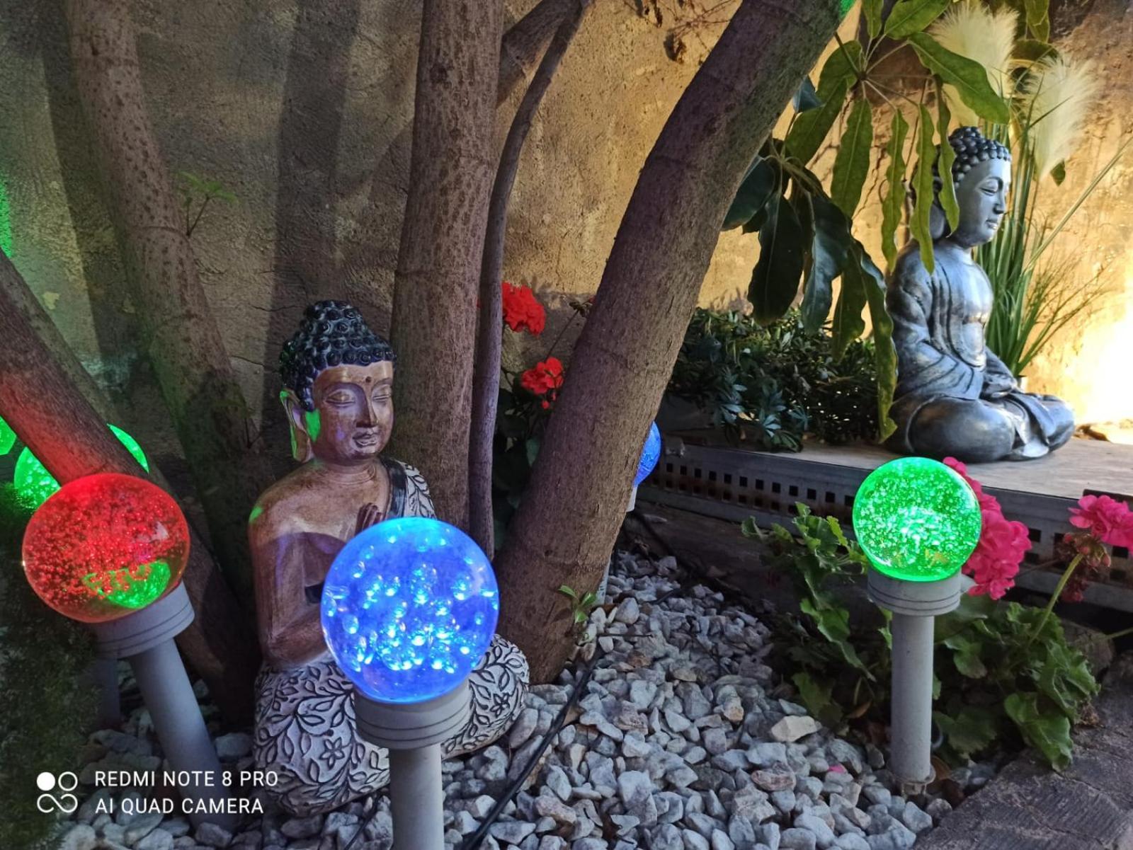 Los Jardines De Lola Daimés Buitenkant foto